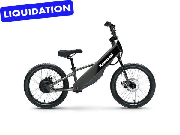 CS-W-GET-1487 Neuf KAWASAKI KAWASAKI ELEKTRODE 20FS 2025 2025 a vendre1