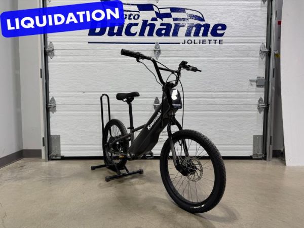 CS-32536 Neuf KAWASAKI KAWASAKI ELEKTRODE 20FS 2025 2025 a vendre1