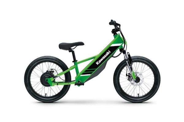 CS-W-GET-1489 Neuf KAWASAKI KAWASAKI ELEKTRODE 20 2025 2025 a vendre 1