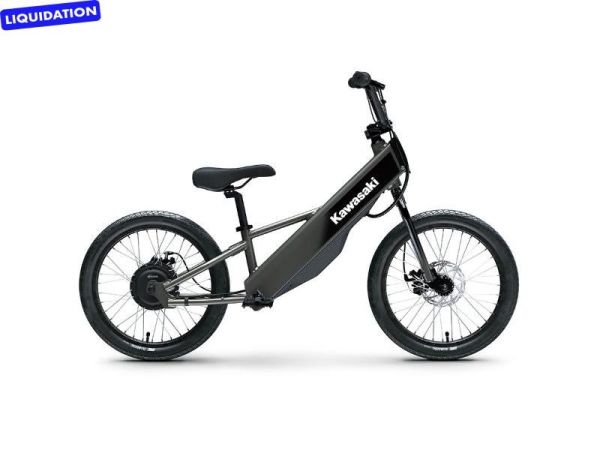 CS-W-GET-1487 Neuf KAWASAKI KAWASAKI ELEKTRODE 20FS 2025 2025 a vendre 1